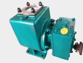 小(xiao)型灑水泵