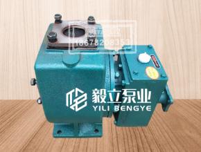 灑水車(che)泵