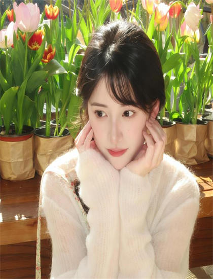 2026奥斯卡季《保罗好莱坞的欧陆公路之旅》：奖项竞争力分析，在线播放